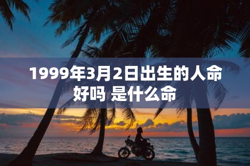 1999年3月2日出生的人命好吗 是什么命