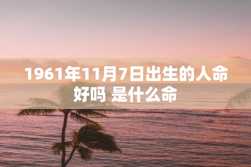1961年11月7日出生的人命好吗 是什么命