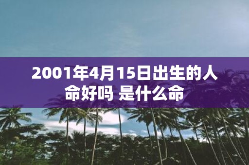 2001年4月15日出生的人命好吗 是什么命