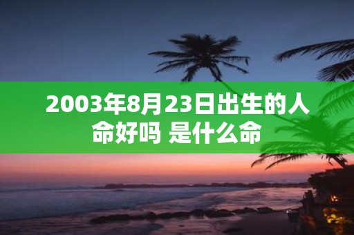 2003年8月23日出生的人命好吗 是什么命