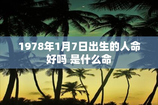 1978年1月7日出生的人命好吗 是什么命