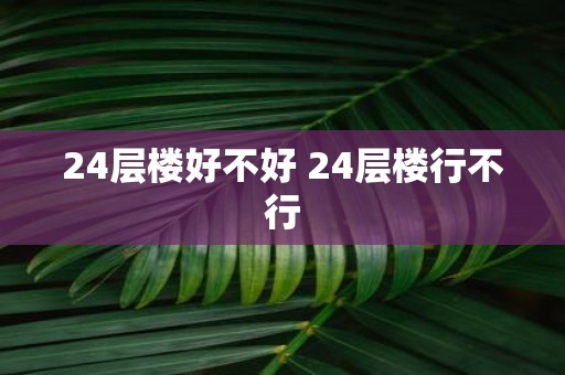24层楼好不好 24层楼行不行