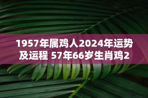 1957年属鸡人2025年运势及运程 57年66岁生肖鸡2025年每月运势