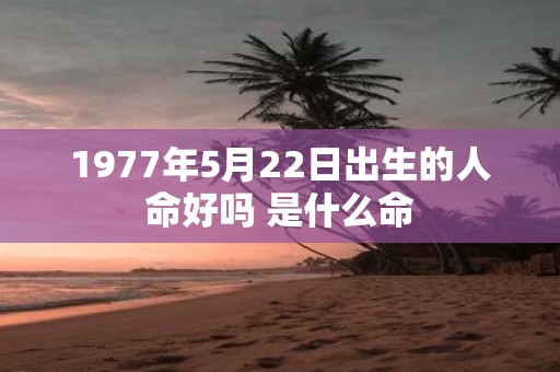 1977年5月22日出生的人命好吗 是什么命