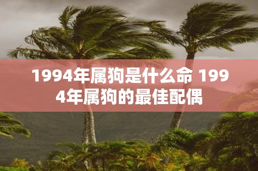 1994年属狗是什么命 1994年属狗的最佳配偶