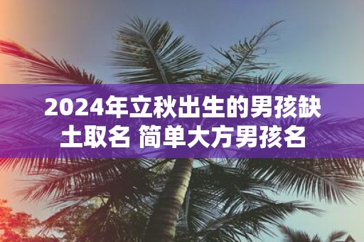 2025年立秋出生的男孩缺土取名 简单大方男孩名