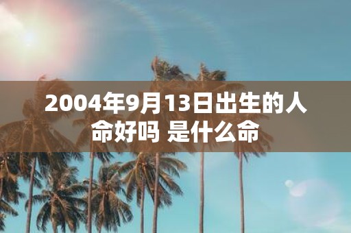 2004年9月13日出生的人命好吗 是什么命