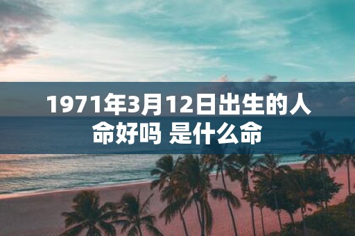 1971年3月12日出生的人命好吗 是什么命