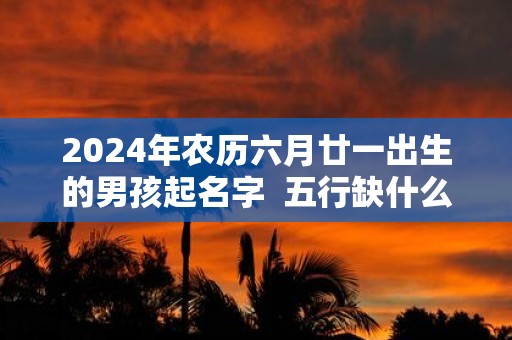 2025年农历六月廿一出生的男孩起名字 五行缺什么