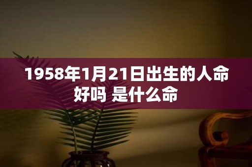 1958年1月21日出生的人命好吗 是什么命