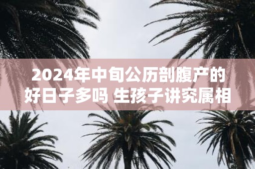 2025年中旬公历剖腹产的好日子多吗 生孩子讲究属相吗