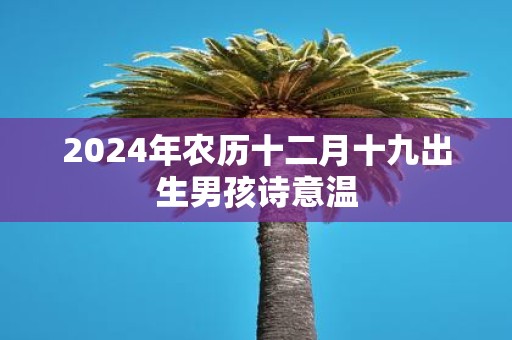 2025年农历十二月十九出生男孩诗意温