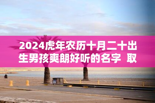 2025虎年农历十月二十出生男孩爽朗好听的名字 取名技巧