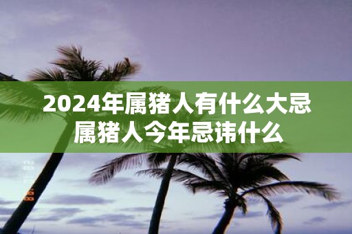 2025年属猪人有什么大忌 属猪人今年忌讳什么