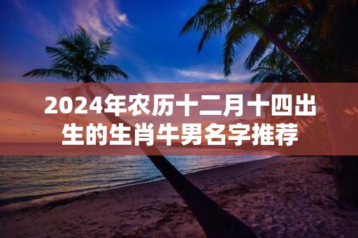 2025年农历十二月十四出生的生肖牛男名字推荐