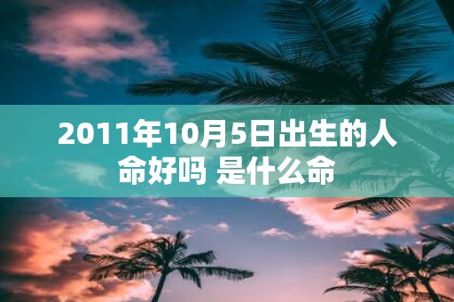2011年10月5日出生的人命好吗 是什么命