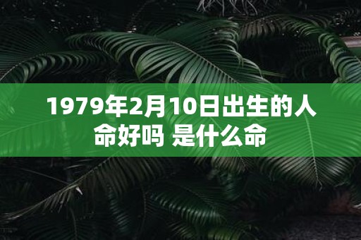 1979年2月10日出生的人命好吗 是什么命