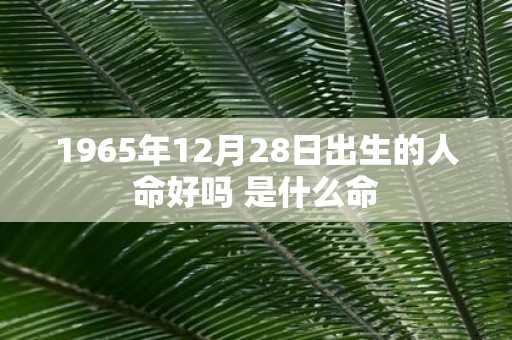 1965年12月28日出生的人命好吗 是什么命