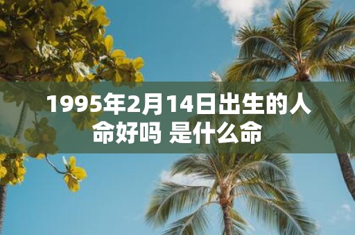 1995年2月14日出生的人命好吗 是什么命