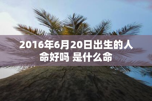 2016年6月20日出生的人命好吗 是什么命