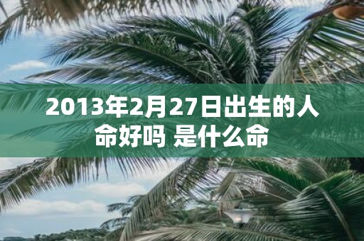 2013年2月27日出生的人命好吗 是什么命