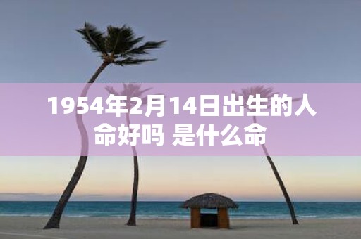 1954年2月14日出生的人命好吗 是什么命
