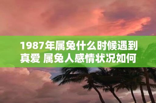 1987年属兔什么时候遇到真爱 属兔人感情状况如何