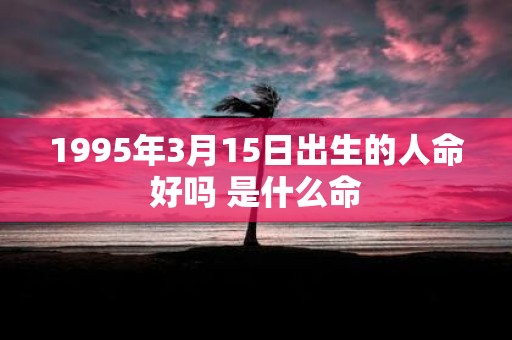 1995年3月15日出生的人命好吗 是什么命