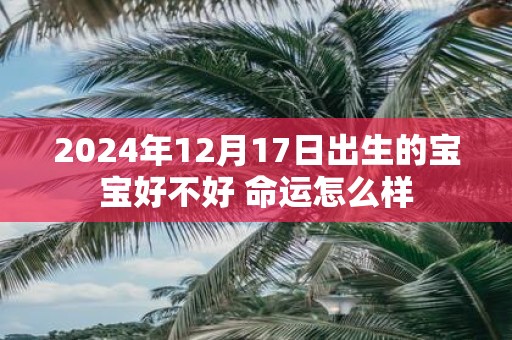 2025年12月17日出生的宝宝好不好 命运怎么样