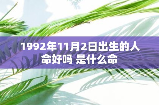1992年11月2日出生的人命好吗 是什么命