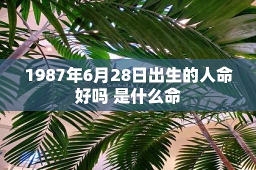 1987年6月28日出生的人命好吗 是什么命