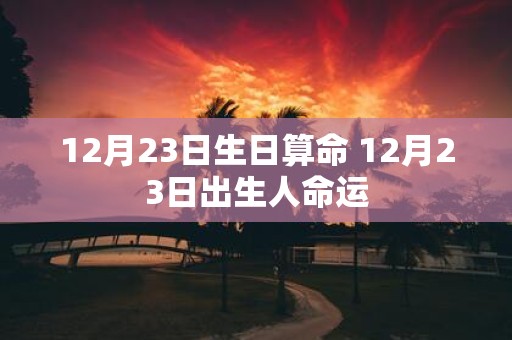 12月23日生日算命 12月23日出生人命运 12月23日生日算命 12月23日出生人命运
