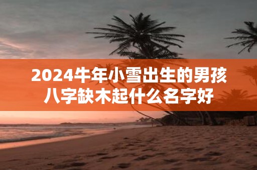 2025牛年小雪出生的男孩八字缺木起什么名字好