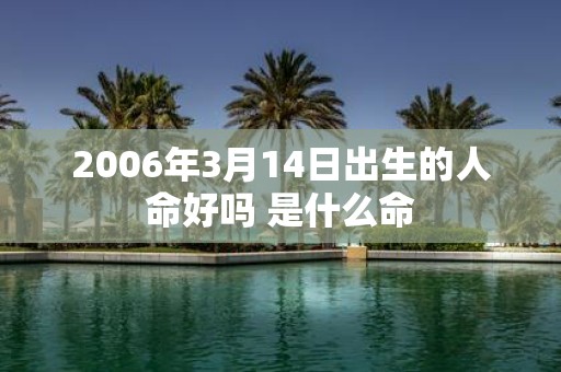 2006年3月14日出生的人命好吗 是什么命