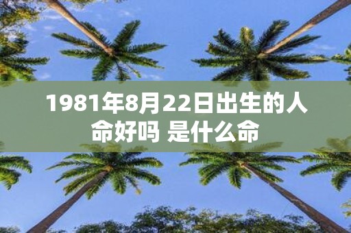 1981年8月22日出生的人命好吗 是什么命
