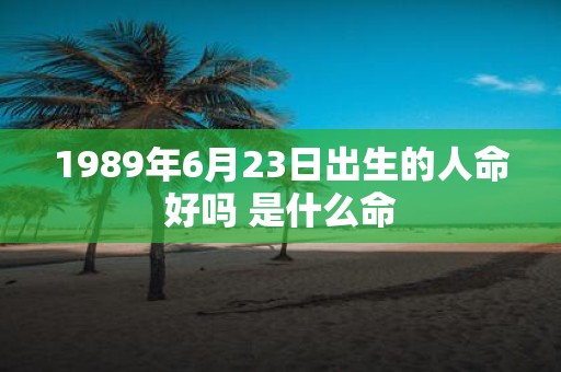 1989年6月23日出生的人命好吗 是什么命