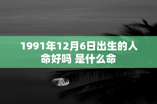 1991年12月6日出生的人命好吗 是什么命