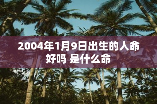 2004年1月9日出生的人命好吗 是什么命