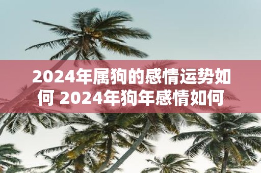 2025年属狗的感情运势如何 2025年狗年感情如何