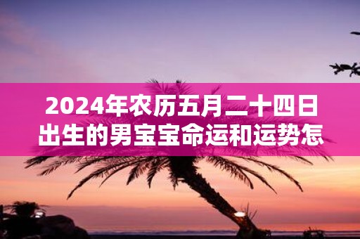 2025年农历五月二十四日出生的男宝宝命运和运势怎么样