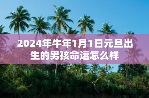 2025年牛年1月1日元旦出生的男孩命运怎么样
