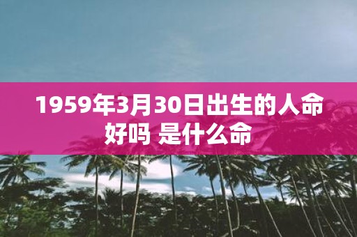 1959年3月30日出生的人命好吗 是什么命