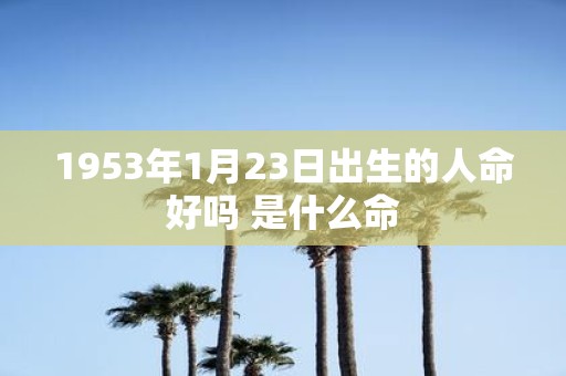 1953年1月23日出生的人命好吗 是什么命