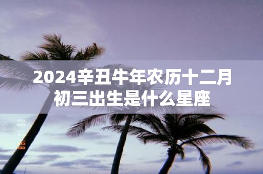 2025辛丑牛年农历十二月初三出生是什么星座