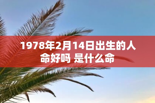 1978年2月14日出生的人命好吗 是什么命