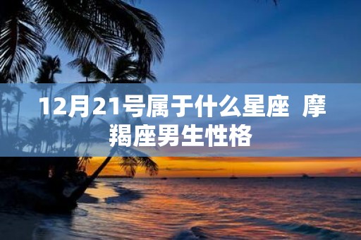 12月21号属于什么星座 摩羯座男生性格