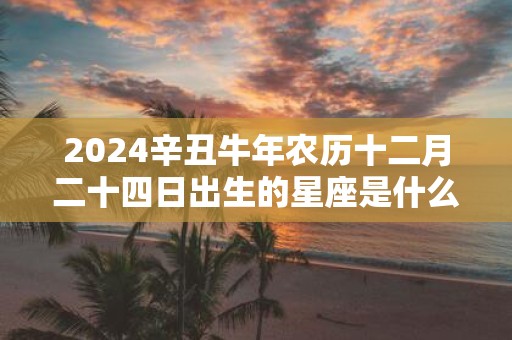 2025辛丑牛年农历十二月二十四日出生的星座是什么