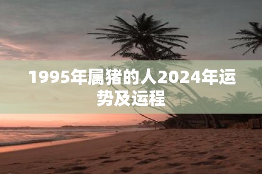 1995年属猪的人2025年运势及运程
