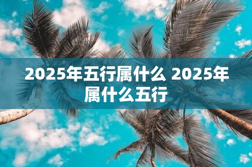 2025年五行属什么 2025年属什么五行