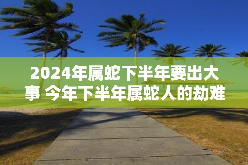 2025年属蛇下半年要出大事 今年下半年属蛇人的劫难